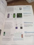  Chemistry An Asian Journal 