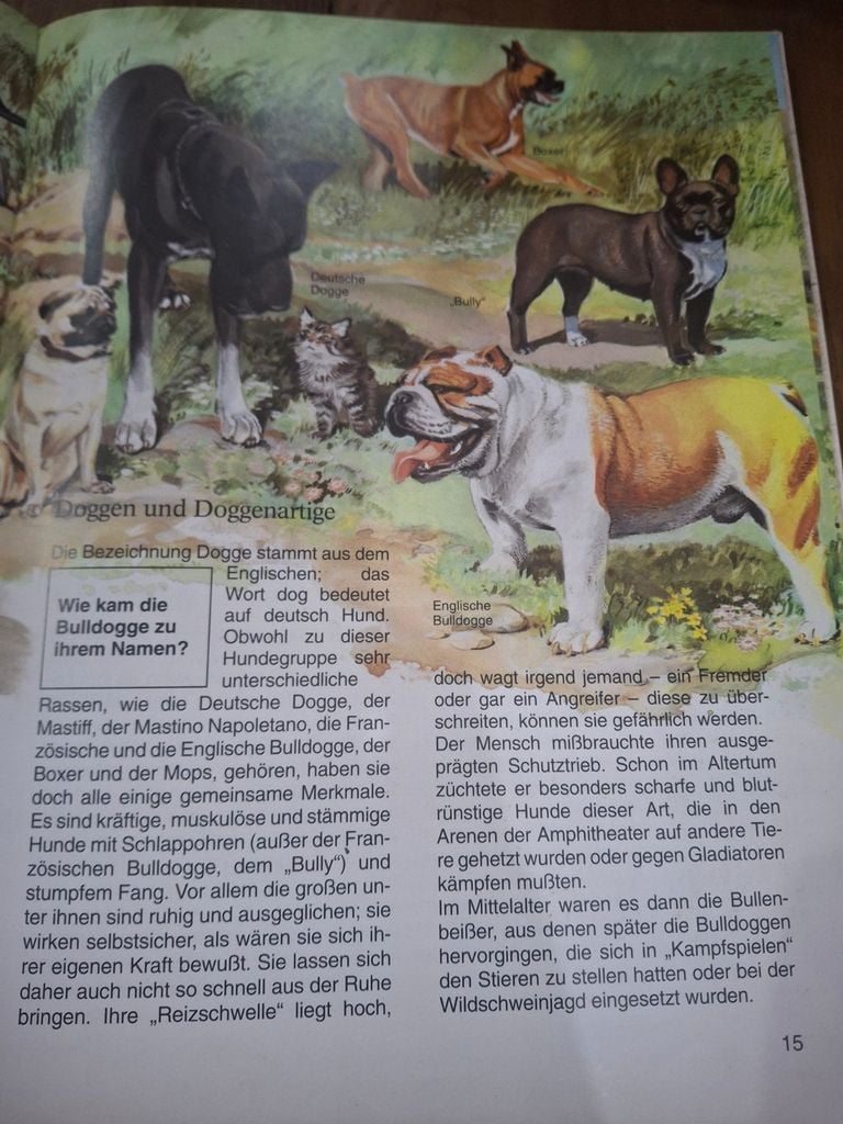  Hunde 