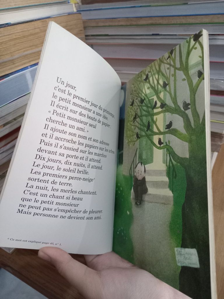  Histoire Du Petit Monsieur Tout Seul - Barbro Lindgren 