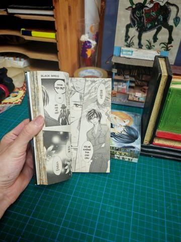  Truyện tranh Black Bird 