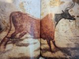  Lascaux le Geste,l'espace Et le Temps 