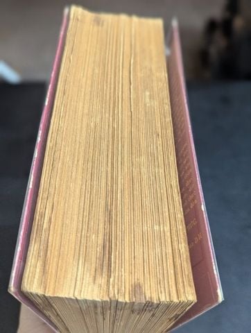  Buổi sáng cuối cùng - D.H.Lawrence ( Phan Lệ Thanh dịch ) 