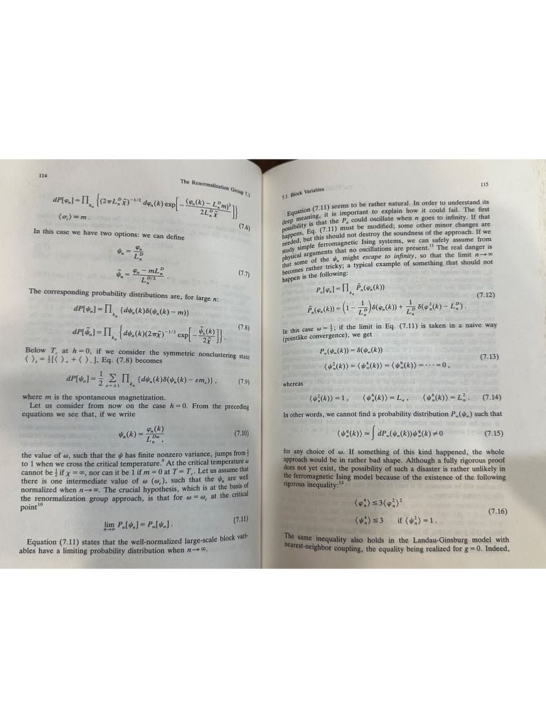  Statistical Field Theory - Giorgio Parisi 