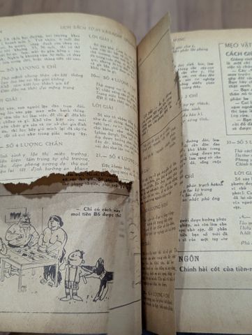  Lịch Sách Tử Vi Quý Sửu 1973 