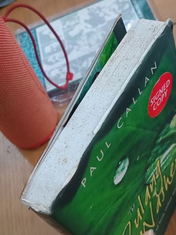  The Dulang Washer - Paul Callan 