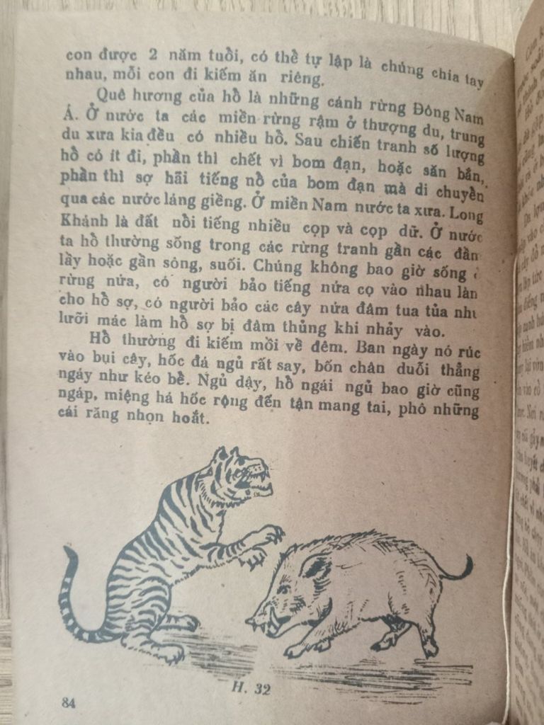  Cuộc Sống Kỳ Diệu của Muôn Loài 