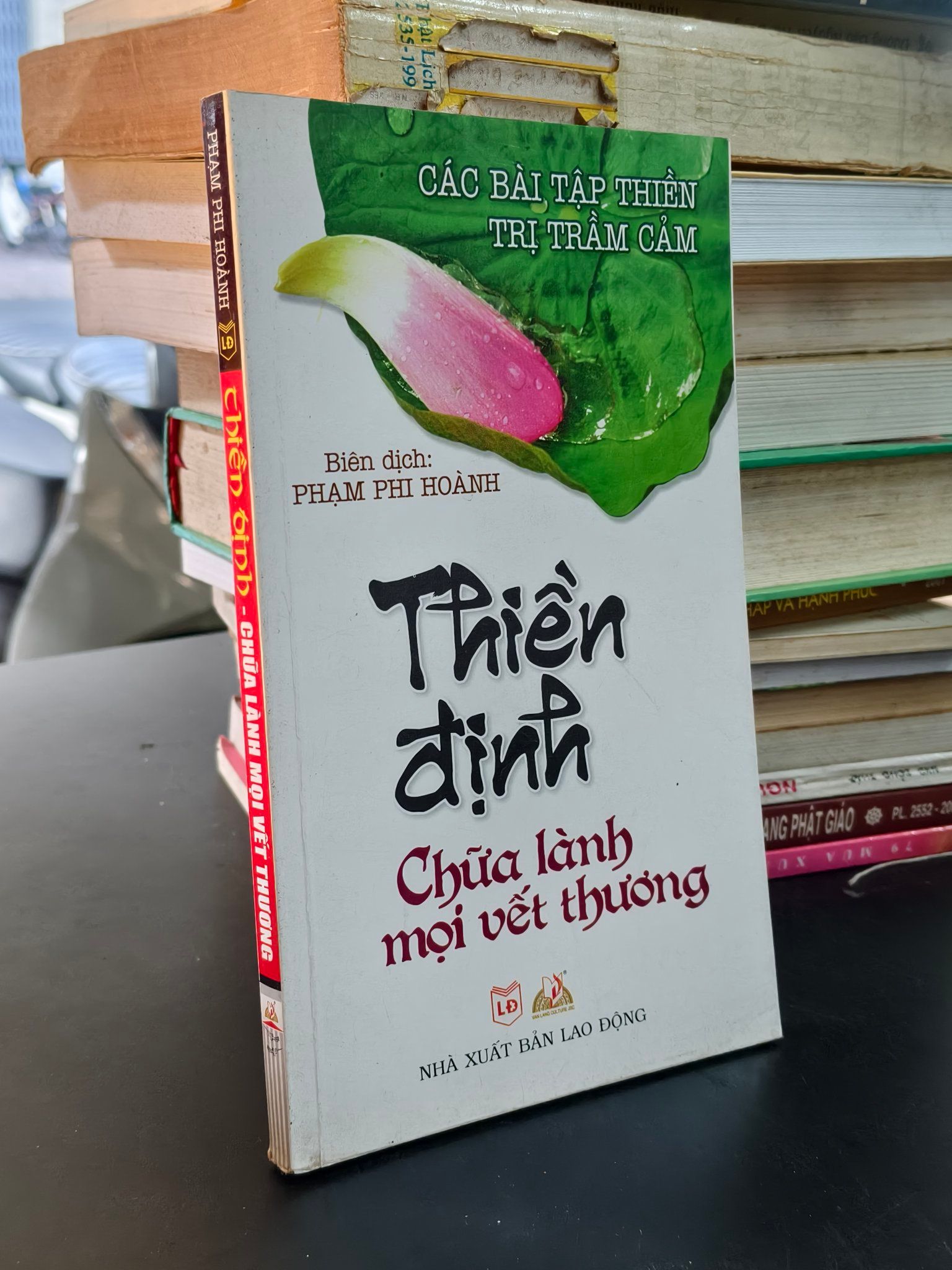  Thiền định chữa lành mọi vết thương - Phạm Phi Hoành dịch 