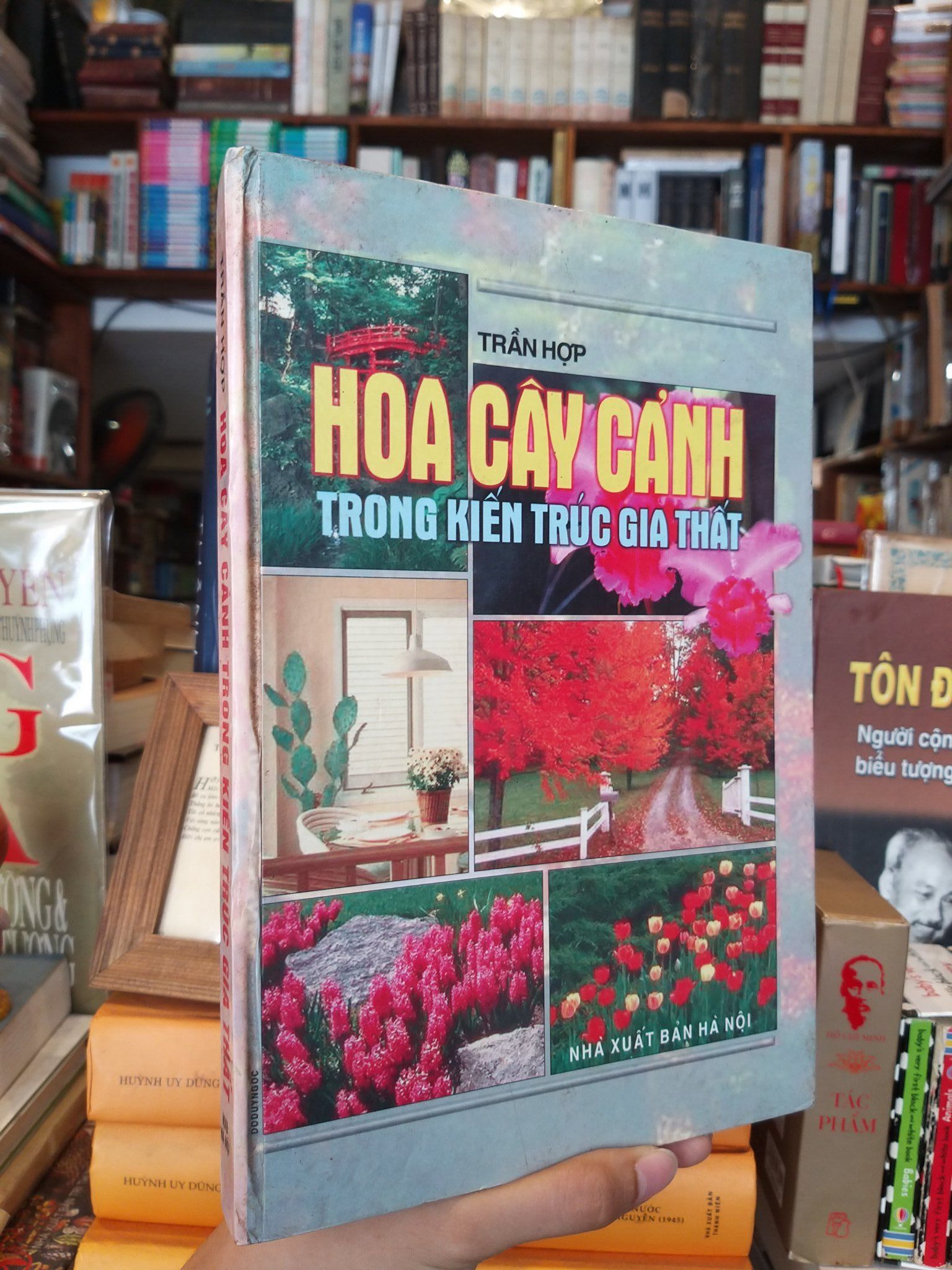  Hoa cây cảnh trong kiến trúc gia thất - Trần Hợp 