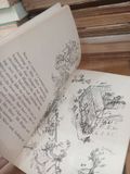  Esio Trot - Roald Dahl 