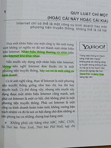 11 Quy Luật Vàng trong Xây Dựng Nhãn Hiệu Trên Internet - Al Ries & Laura Ries (Minh Hương, Khánh Chi Dịch)