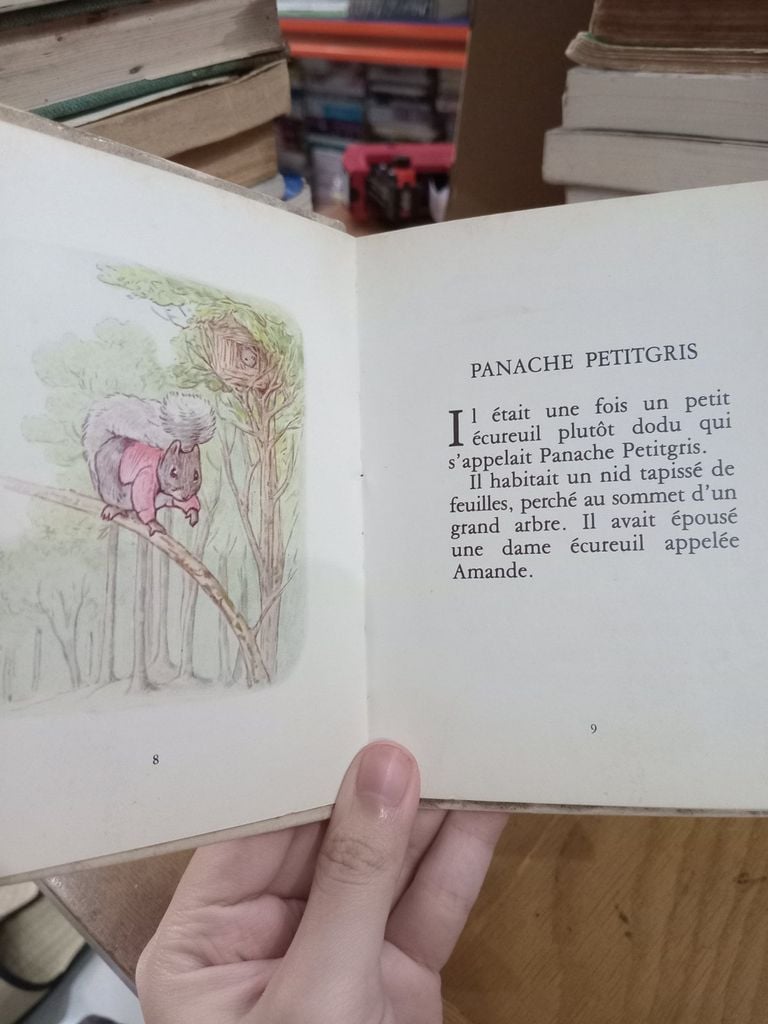  Panache Petitgris - Beatrix Potter 