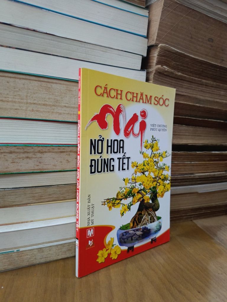  Cách Chăm Sóc Mai Nở Hoa Đúng Tết - Việt Chương, Phúc Quyên 
