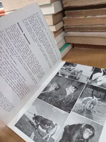  La Photo Des Jeunes Et a L'ecole - Jean Arestein 