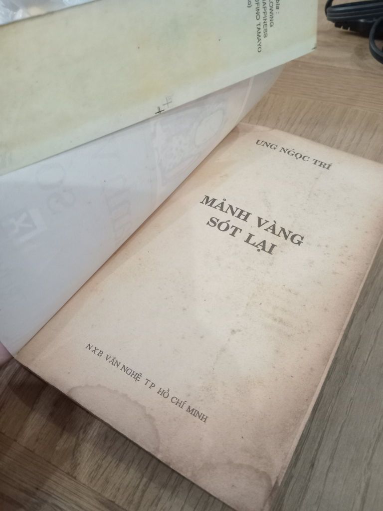  Mảnh Vàng Sót Lại - Ung Ngọc Trí 