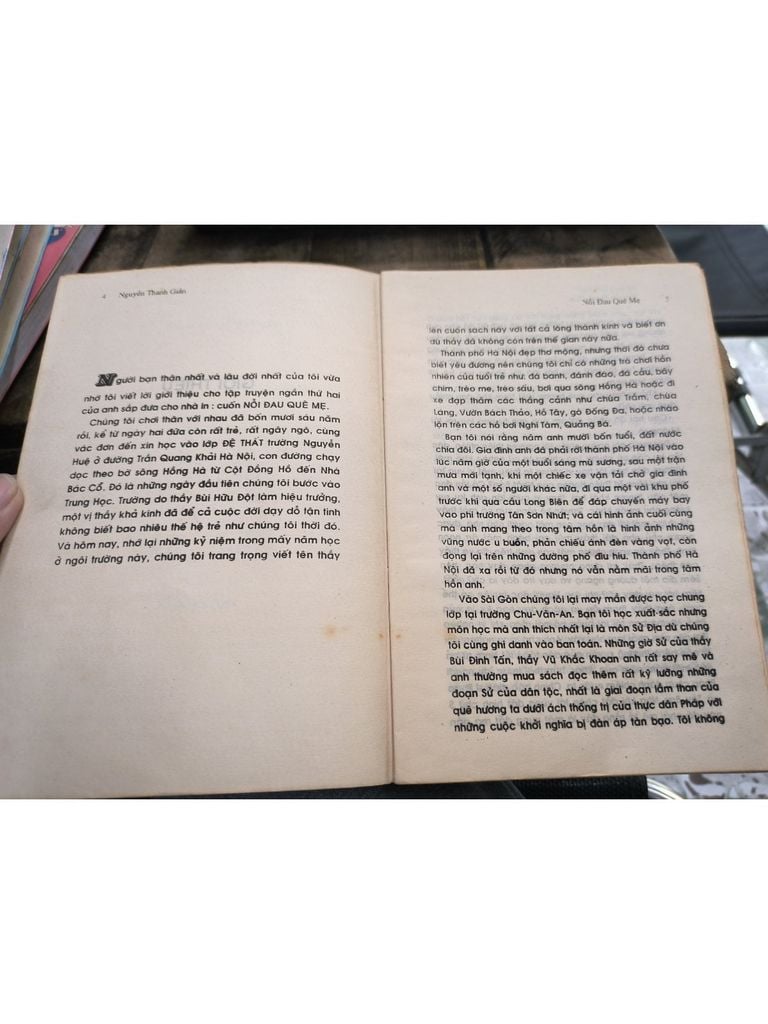  Nỗi Đau Quê Mẹ - Nguyễn Thanh Giản 