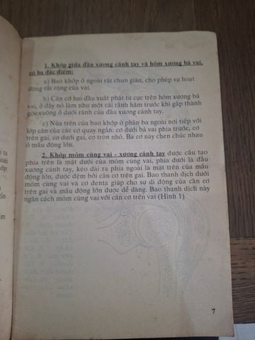  Đau Vai - B.S. Lê Trinh 