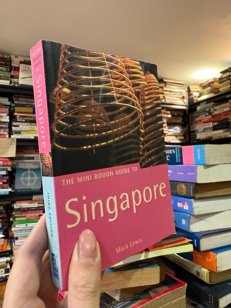  The mini rough guide to Singapore - Mark Lewis 