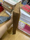  Người Tánh Tốt - Hoàng Xuân Việt 