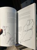  Stop Look Breath Create : Four Easy Steps To Mindfulness Through Creativity - Wendy Ann Greenhalgh 