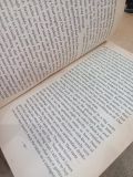  Headlong - Michael Frayn 