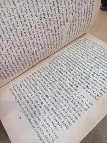  Headlong - Michael Frayn 