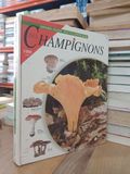  Grand guide encyclopédique des Champignons 