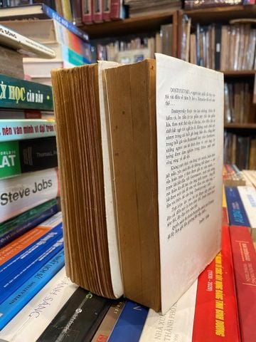 Anh Em Nhà Karamazov - Dostoievski (Bản Dịch Trương Đình Cử)