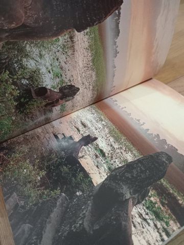  Angkor: Splendors of the Khmer civilization - Marilia Albanese 