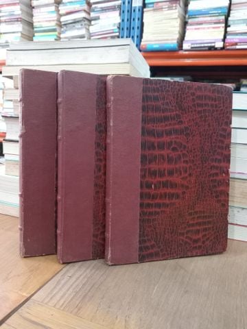  Butterfly English French magazine 