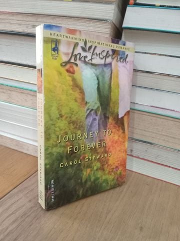  Journey to forever - Carol Steward 