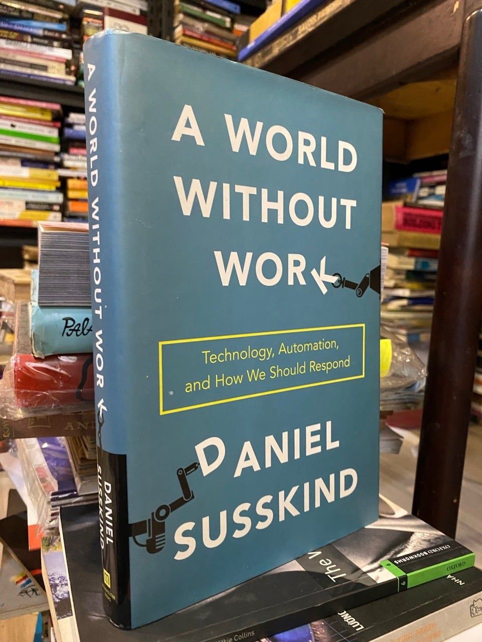 A World Without Work - Daniel Susskind 