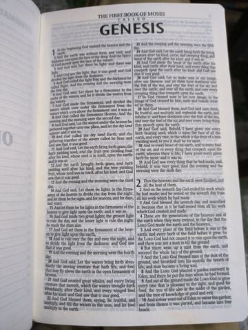  Holy Bible King James Version 