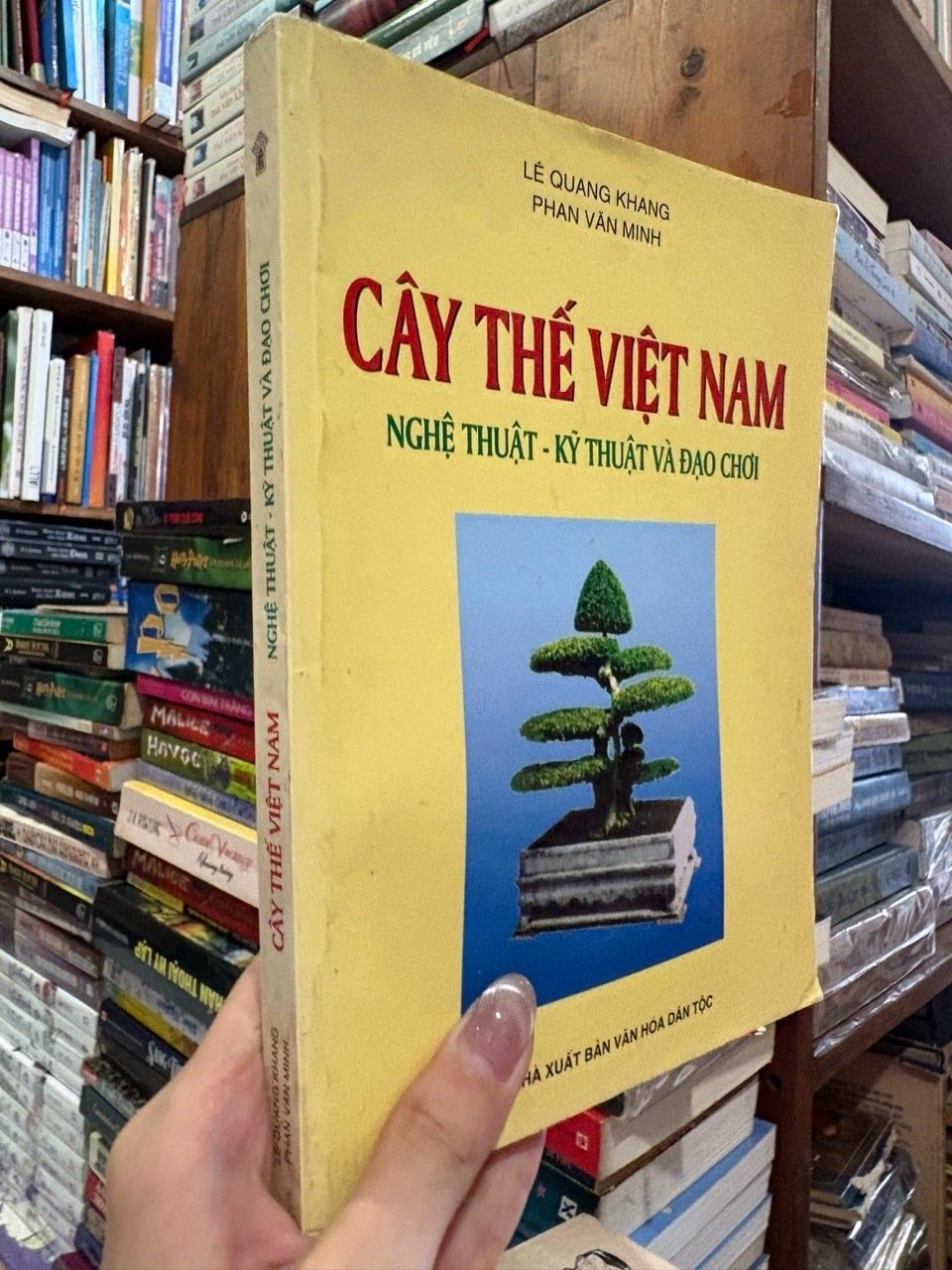  Cây thế Việt Nam nghệ thuật - kỹ thuật và đạo chơi - Lê Quang Khang , Phan Văn Minh 
