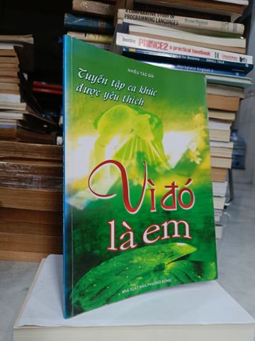  Tuyển tập ca khúc được yêu thích: Vì đó là em - Nhiều tác giả 