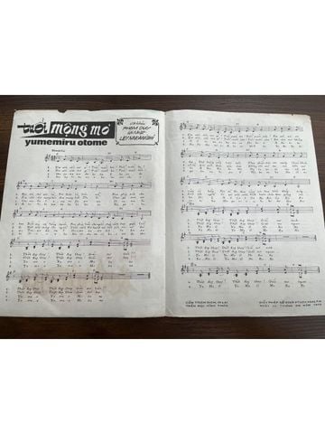  Tuổi Mộng Mơ - Phạm Duy 