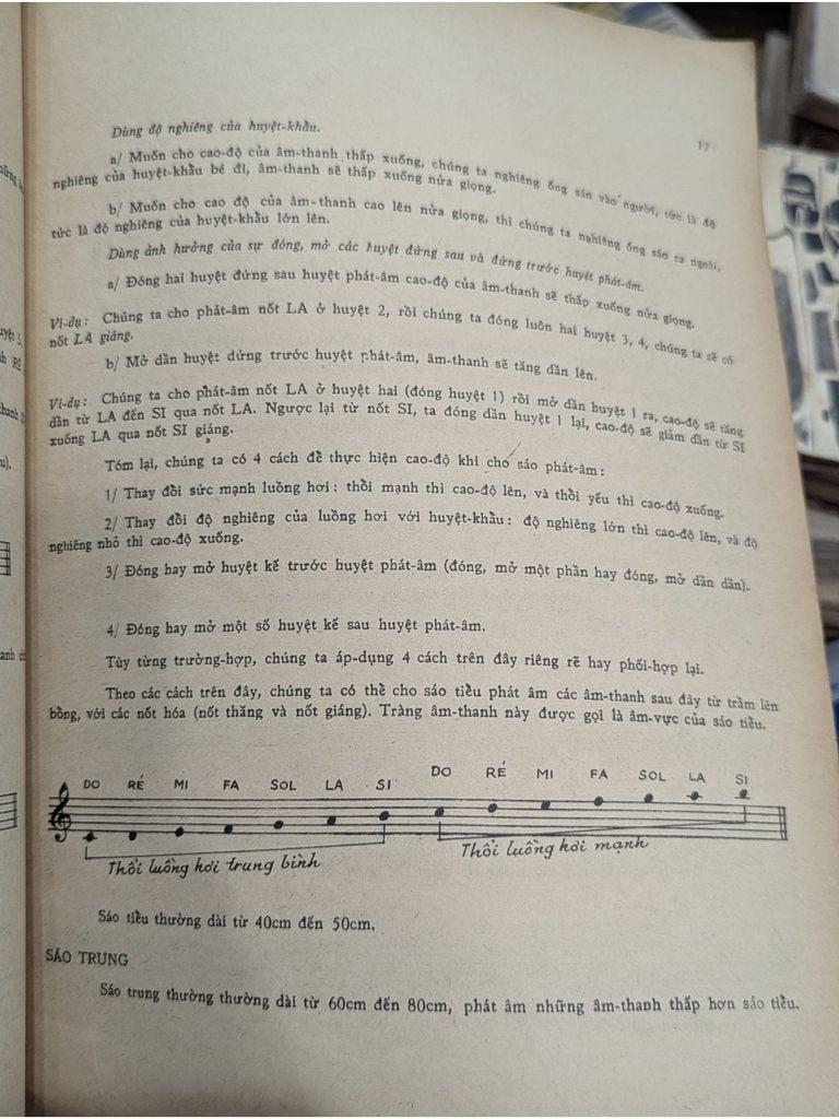  15 Ngày Thổi Sáo & Ngâm Thơ - Anh Vũ 