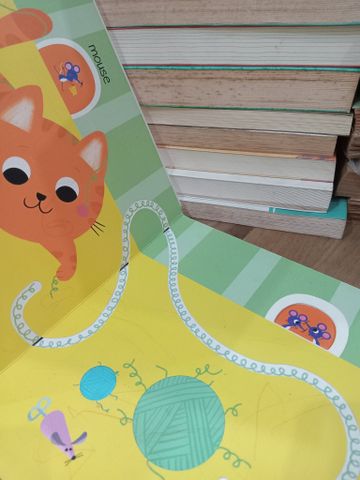  Touch, feel and follow the trails: Animals 