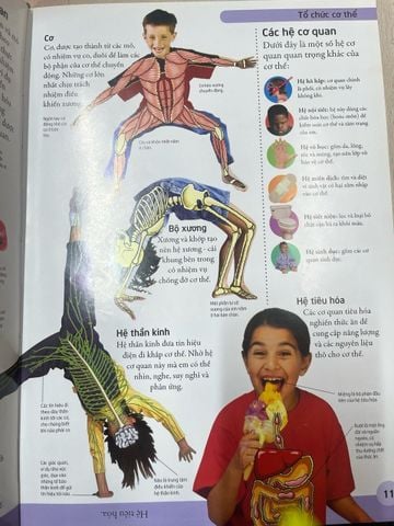  Bách khoa cho trẻ em: Bách khoa cơ thể người 