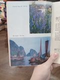  Du lịch 1990 