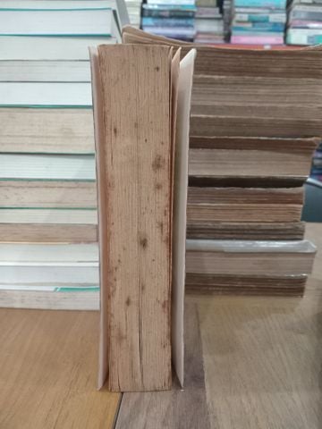  When the boys are away - Sarah Webb 