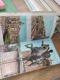  Rome: A Practical Guide - Amedeo Storti 