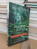  De celestijnse belofte - James Redfield 