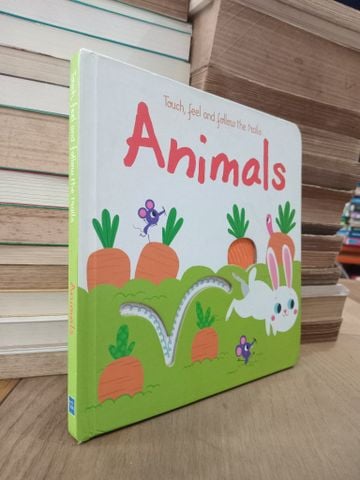  Touch, feel and follow the trails: Animals 