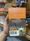  Witchlight - Marion Zimmer Bradley 