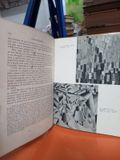  Art Indépendant - Pierre Courthion 