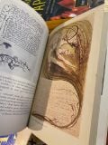 William Blake – Kathleen Raine 