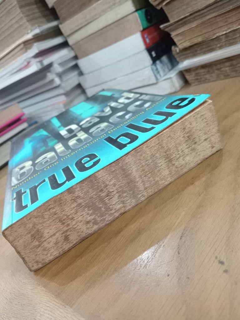  True Blue - David Baldacci 