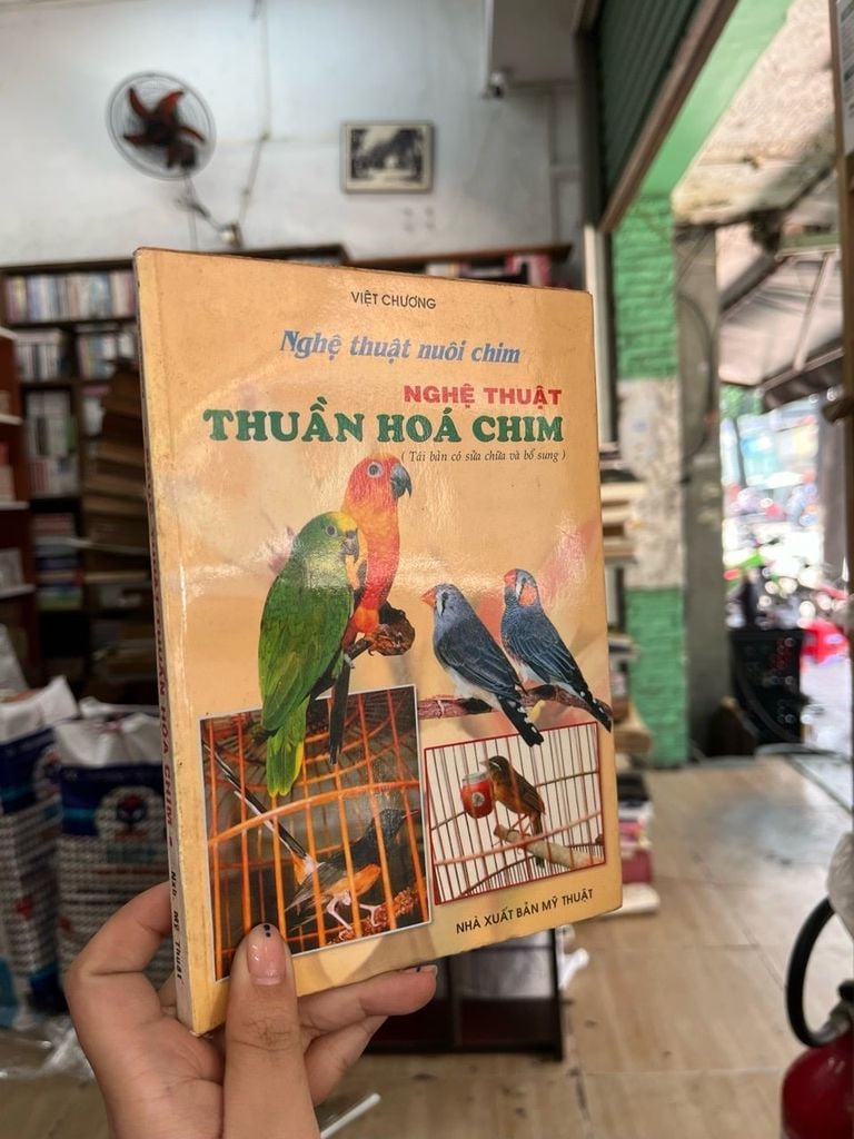  Nghệ Thuật Thuần Hóa Chim 
