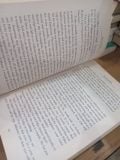  Eagles of the Empire: Britannia - Simon Scarrow 