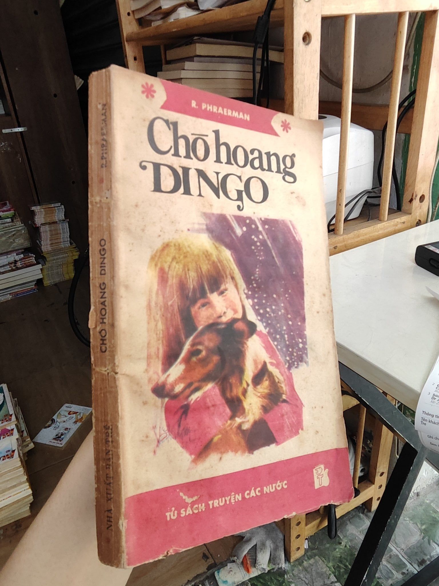  Chó hoang Dingo - R. Phraerman 